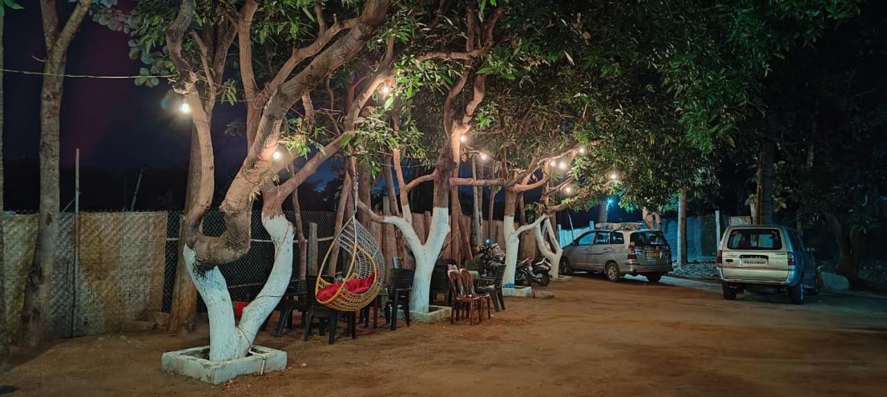 Dream Paradise هامبي المظهر الخارجي الصورة